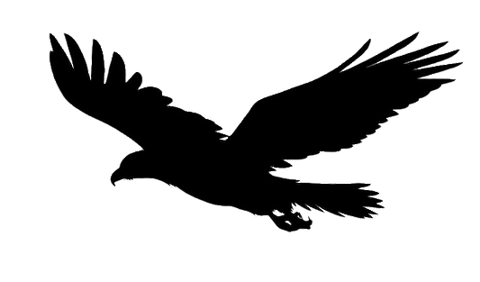Bald Eagle Silhouette