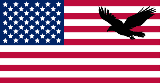American flag with a bald eagle on right side